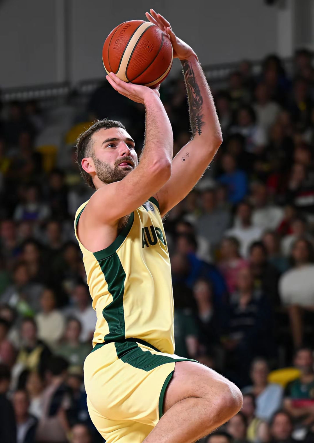 开云APP-关于澳大利亚职业篮球联赛冠亚军争夺的信息